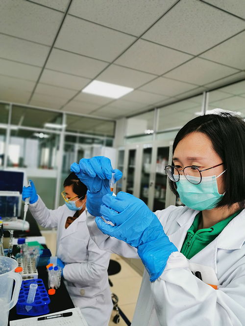 政銀企接力助復(fù)產(chǎn)，煙臺開發(fā)區(qū)科創(chuàng)服務(wù)生態(tài)圈顯神通